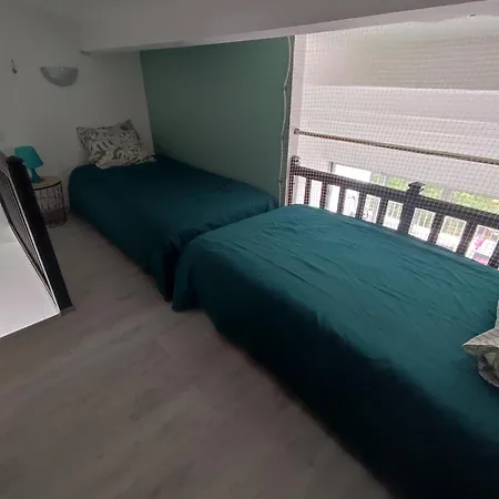 Cap D'agde Duplex L'olivier Vue 5 A 6 Pers *